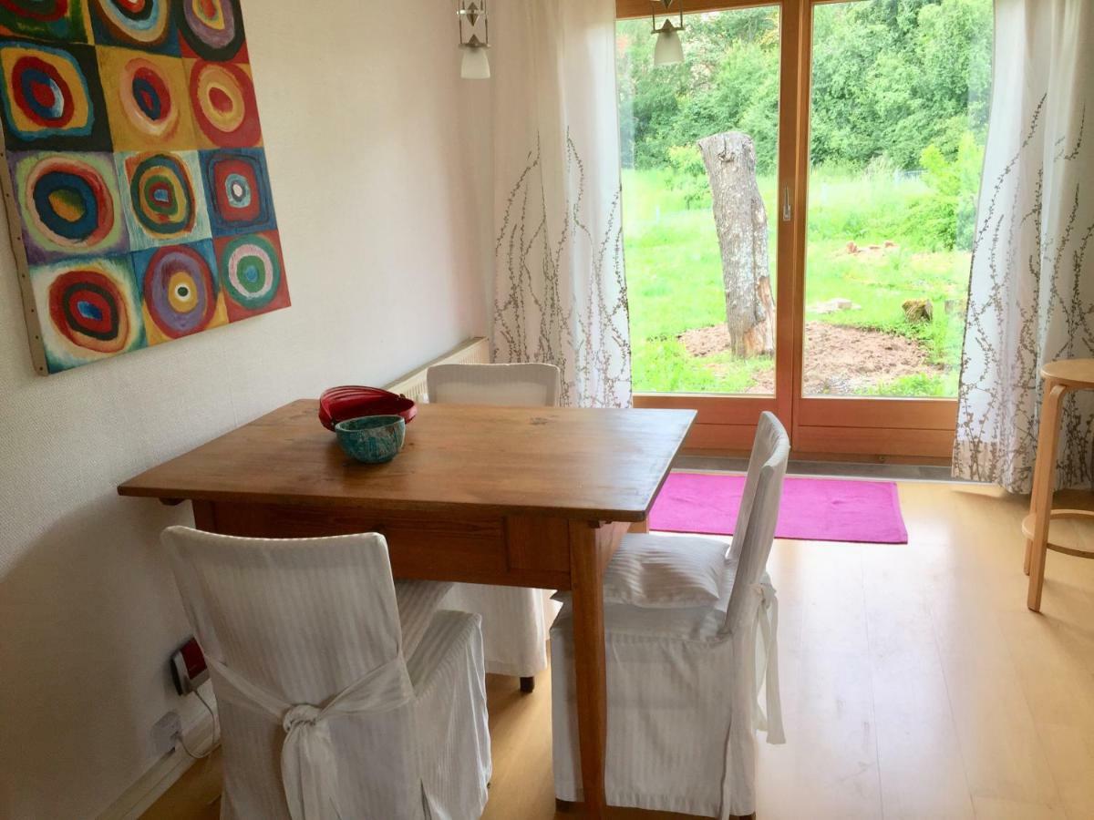 Apartment Gaensebluemchen daisy Walsdorf  Extérieur photo