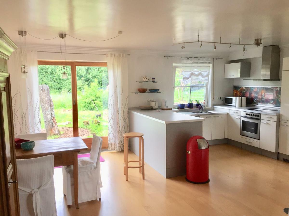 Apartment Gaensebluemchen daisy Walsdorf  Extérieur photo