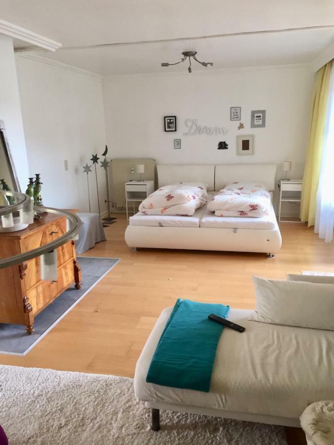 Apartment Gaensebluemchen daisy Walsdorf  Extérieur photo